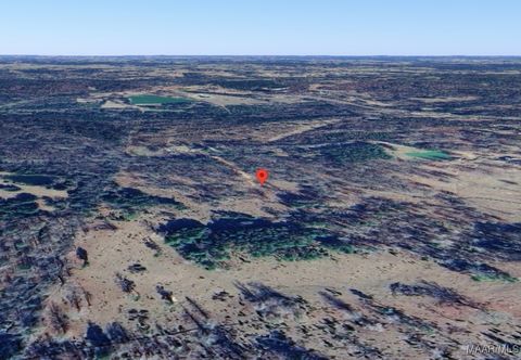 Photo of 411 Pugh Road, Mathews, AL 36052 (MLS # 581678)