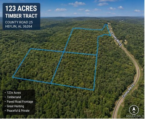 Photo of 0 County Road 25, Heflin, AL 36264 (MLS # 586763)