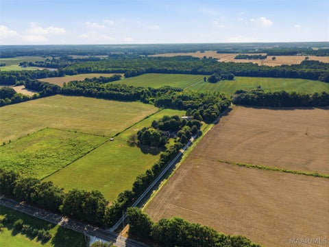 Photo of 0 Scott Road, Hazel Green, AL 35750 (MLS # 590360)