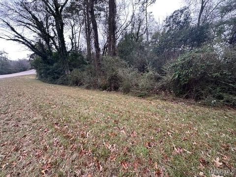 Photo of 0 HIGHWAY 31, Prattville, AL 36067 (MLS # 580891)