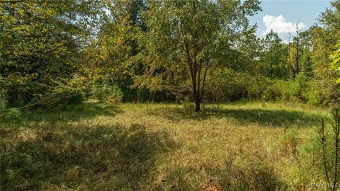 Photo of 7 Wellington Boulevard, Wetumpka, AL 36092 (MLS # 583019)