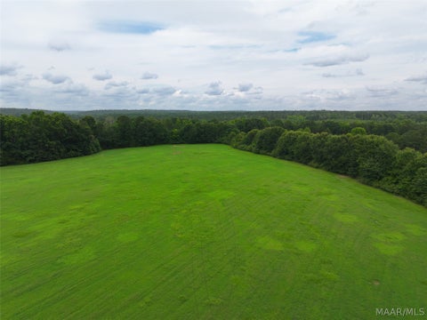 Photo of 9 Highway 14 Highway, Notasulga, AL 36866 (MLS # 587575)