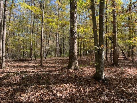 Photo of 0 Dorough Road, Columbiana, AL 35051 (MLS # 566744) Photo of 0 Dorough Road, Columbiana, AL 35051 (MLS # 566744)