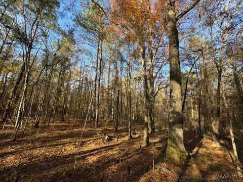 Photo of 7 Jug Factory Road, Redland, AL 36093 (MLS # 575945) Photo of 7 Jug Factory Road, Redland, AL 36093 (MLS # 575945)