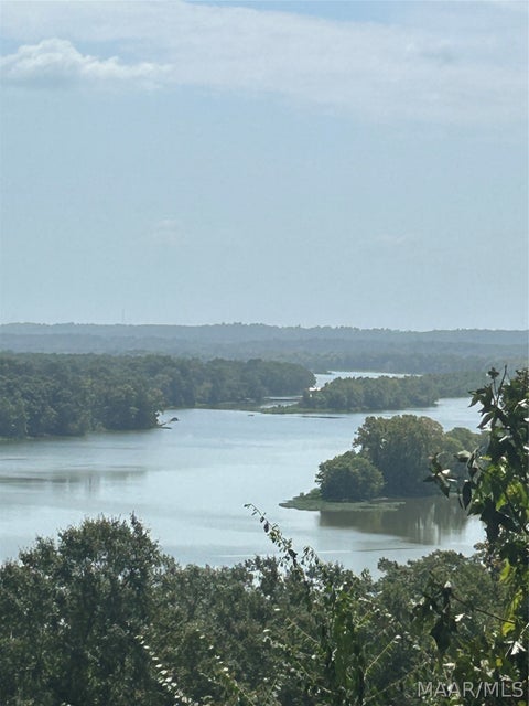 Photo of 3 Prairie Bluff Drive, Catherine, AL 36728 (MLS # 590041)