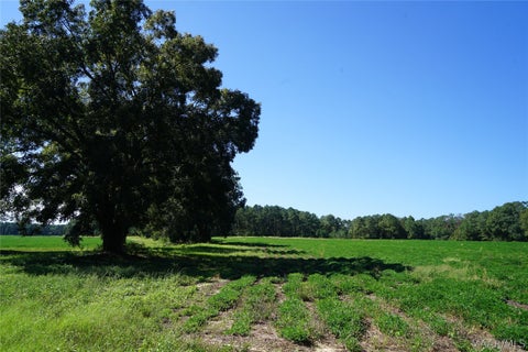 Photo of 216 County Road 215 Circle, Ariton, AL 36010 (MLS # 591161)