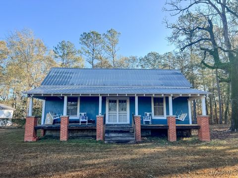 Photo of 2651 Halso Mill Road, Greenville, AL 36037 (MLS # 582137)