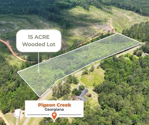 Photo of 0 Pigeon Creek Road, Georgiana, AL 36033 (MLS # 576736)