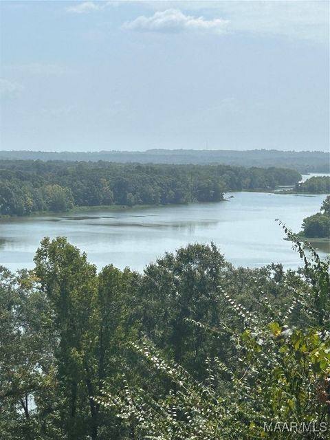 Photo of 3 Prairie Bluff Drive, Catherine, AL 36728 (MLS # 582778)