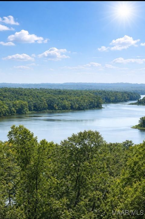 Photo of 3 Prairie Bluff Drive, Catherine, AL 36728 (MLS # 582778)