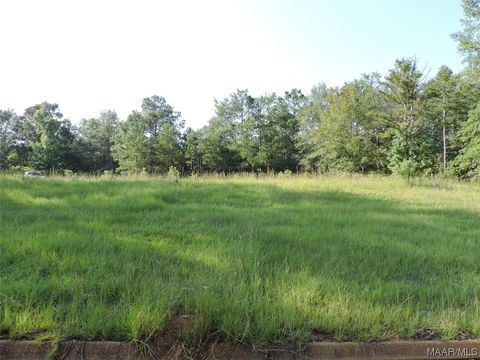 Photo of 15 White Oak Way, Greenville, AL 36037 (MLS # 541649)