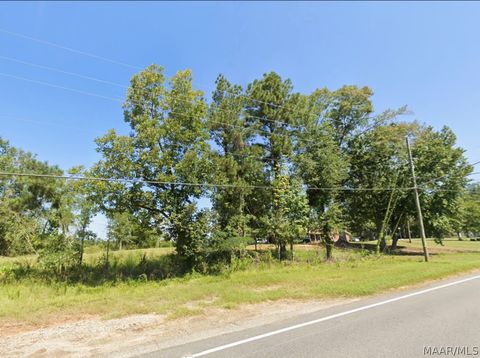 Photo of 0 Pineapple Highway, Greenville, AL 36037 (MLS # 584596)