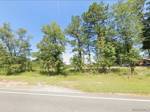 Photo of 0 Pineapple Highway, Greenville, AL 36037 (MLS # 584596)