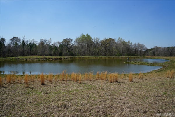 11540 HOBBIE RD, RAMER, AL 36069 - Image 9390eef4e9d0149f87cc6ad8a2158cb9/1399632059