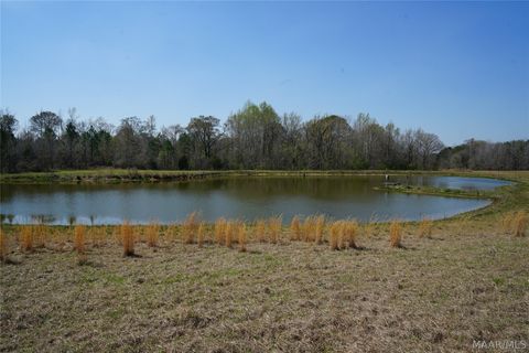 Photo of 11540 Hobbie Road, Ramer, AL 36069 (MLS # 584973)