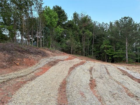 Photo of 161 Forest Mountain Drive, Wetumpka, AL 36093 (MLS # 586168)