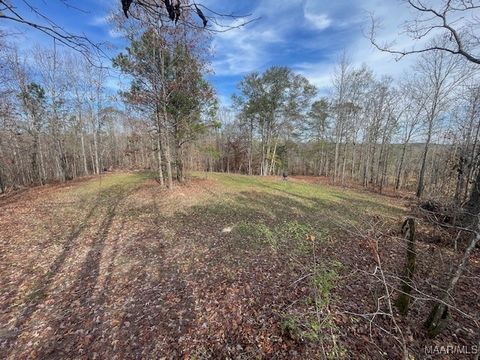 Photo of 1300 County Road 71 Road, Kellyton, AL 35089 (MLS # 581871)