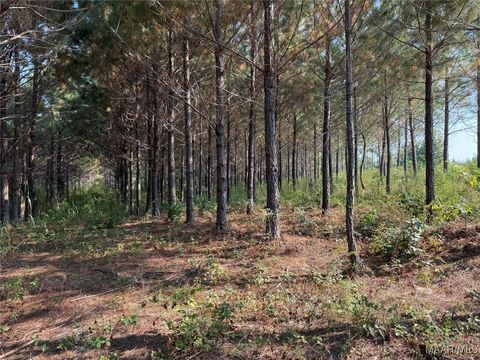 Photo of 7 Grass Farm Road, Titus, AL 36092 (MLS # 580127)