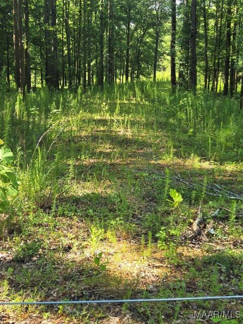 Photo of 5 PUGH Road, Pike Road, AL 36052 (MLS # 577529)