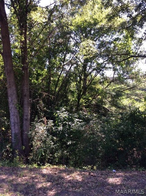 Photo of 000 Chanault Drive N, Tuskegee, AL 36083 (MLS # 559743) Photo of 000 Chanault Drive N, Tuskegee, AL 36083 (MLS # 559743)
