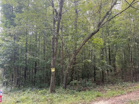 Photo of 0 Hunter Loop Road, Marbury, AL 36051 (MLS # 579519)