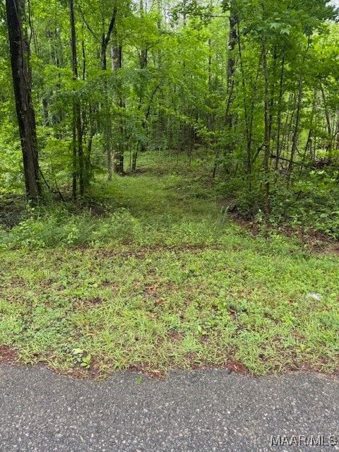 Photo of 900 Farm Loop Road, AL 35010 (MLS # 576290)