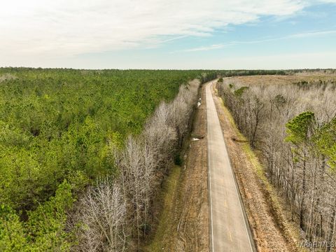 Photo of 0 Highway 82, Mathews, AL 36052 (MLS # 570717) Photo of 0 Highway 82, Mathews, AL 36052 (MLS # 570717)