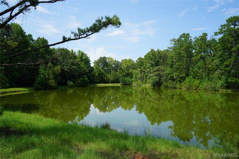 Photo of 22246 Lapine Highway, Lapine, AL 36046 (MLS # 589871)