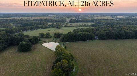 15246 Highway 110 Fitzpatrick AL 36029