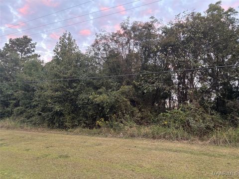 Photo of 2075 County Rd 81 Road, Valley Grande, AL 36703 (MLS # 580649)