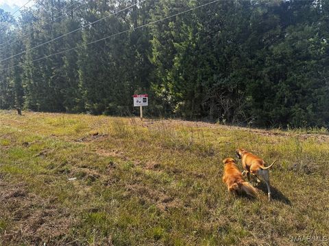 Photo of 0 County Road 131, Boligee, AL 36278 (MLS # 576536)
