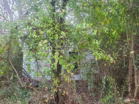Photo of 1624 Jerome Street, Selma, AL 36701 (MLS # 582781)