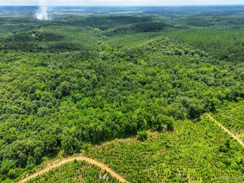 Photo of 00 County Road 165, Prattville, AL 36067 (MLS # 587325)