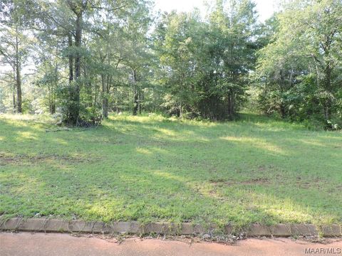 Photo of 16 White Oak Way, Greenville, AL 36037 (MLS # 541650)