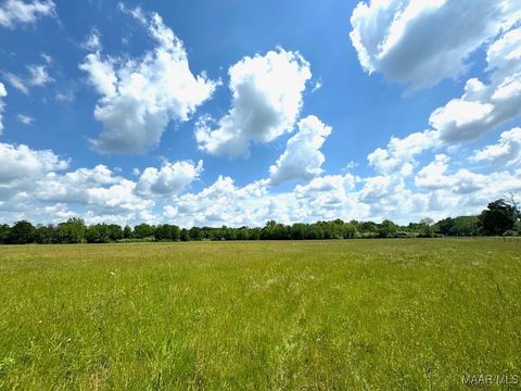 Photo of 1 Honoraville Road, Greenville, AL 36037 (MLS # 572015) Photo of 1 Honoraville Road, Greenville, AL 36037 (MLS # 572015)