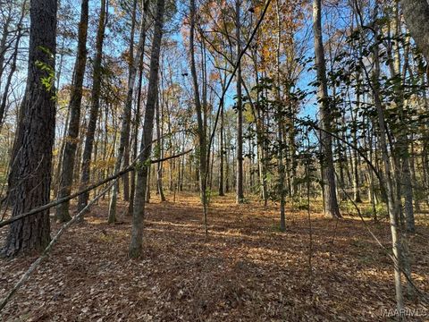 Photo of 2 Jug Factory Road, Wetumpka, AL 36093 (MLS # 578145)