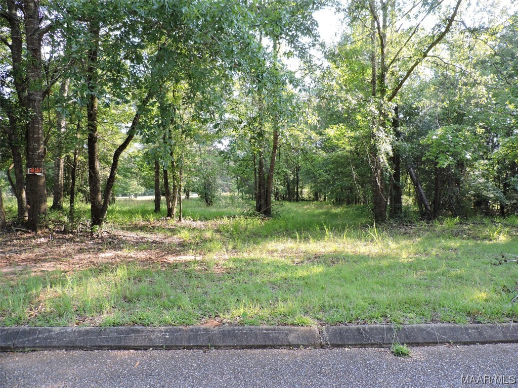 Photo 1 of 2 — Lot 7B White Oak Way, Greenville, AL 36037