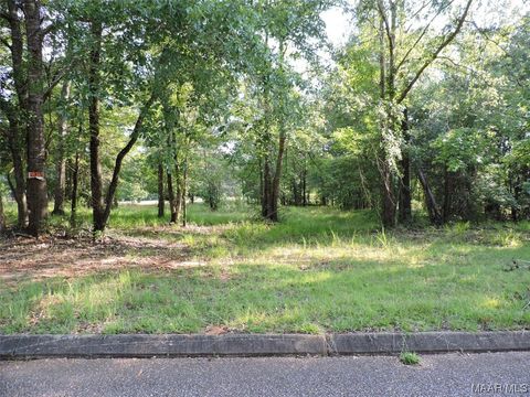 Photo of 7 White Oak Way, Greenville, AL 36037 (MLS # 541647)