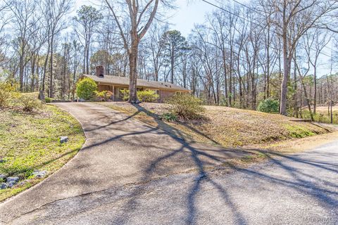 Photo of 165 Brookview Drive, Eclectic, AL 36024 (MLS # 584292)