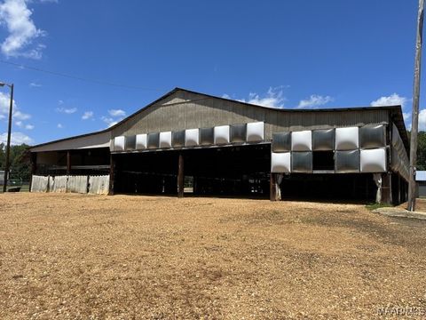 Photo of 12216 Highway 231, Wetumpka, AL 36092 (MLS # 581374)