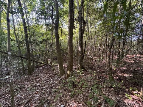 Photo of 2944 Hwy 82 Highway W, Prattville, AL 36067 (MLS # 580876)