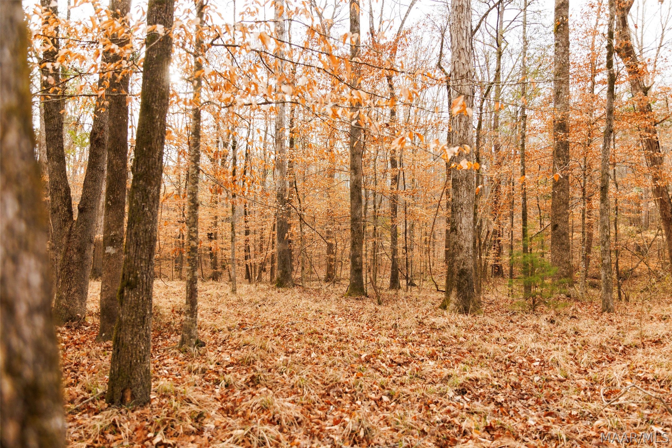 570 Jug Factory Road