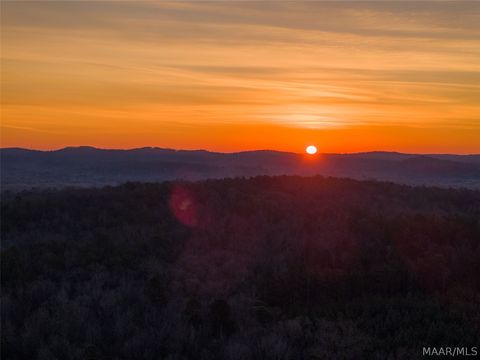 570 Jug Factory Road Redland AL 36093