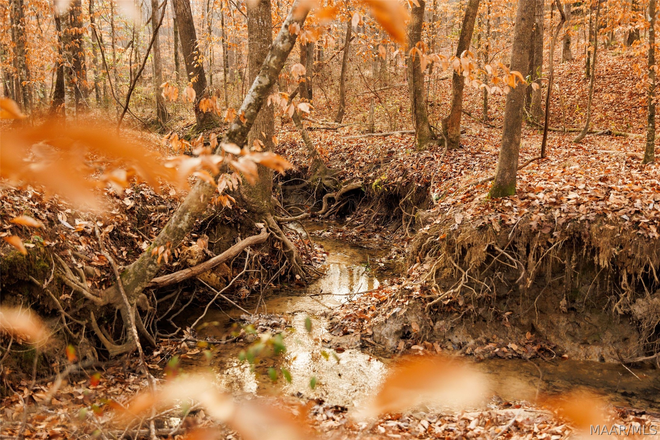 570 Jug Factory Road