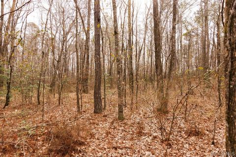 Photo of 3 Jug Factory Road, Redland, AL 36093 (MLS # 584744)