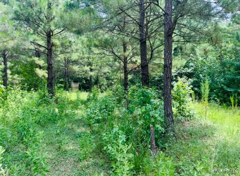 Photo of 0 Knight Drive, Wetumpka, AL 36092 (MLS # 579623)