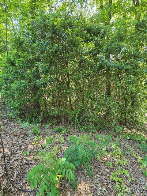 Photo of 0 Pinecrest Street, Prattville, AL 36067 (MLS # 570254) Photo of 0 Pinecrest Street, Prattville, AL 36067 (MLS # 570254)