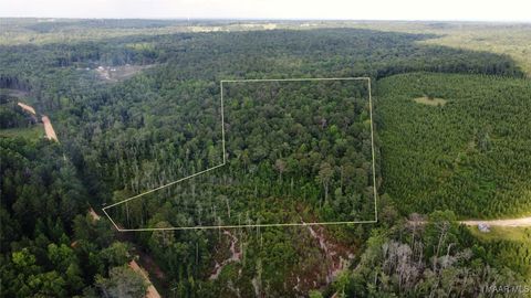 Photo of 0 County Road 61, Prattville, AL 36067 (MLS # 577207)