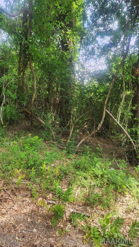 Photo of 0000 Watkins Avenue, Tuskegee, AL 36083 (MLS # 585997)