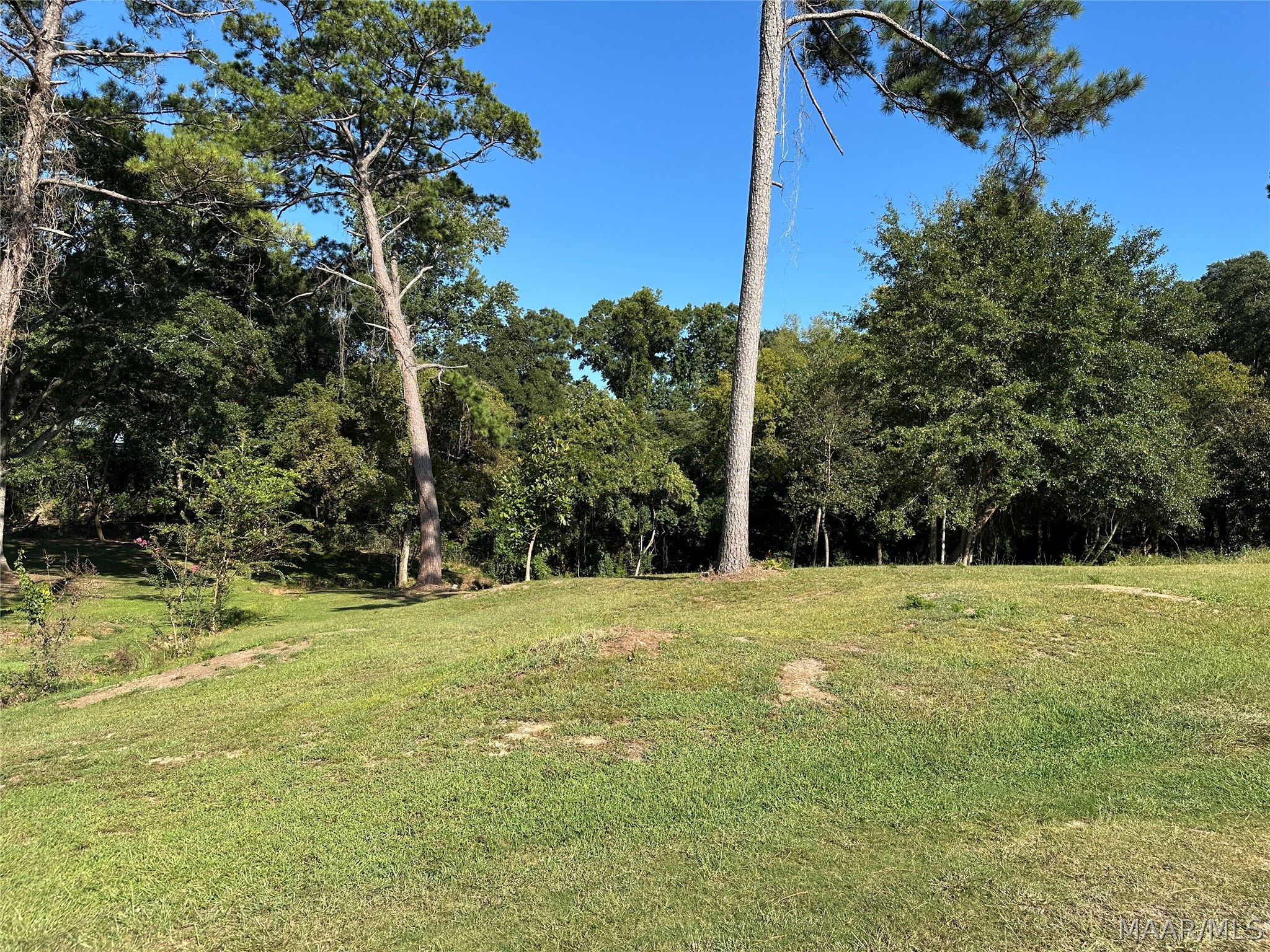 1124 Newton Street - Photo 4